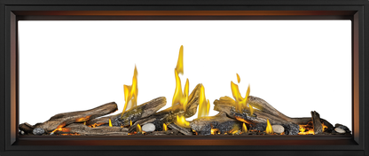Napoleon Tall Linear Vector 62" See Through Direct Vent Natural Gas Fireplace With Luminous Logs