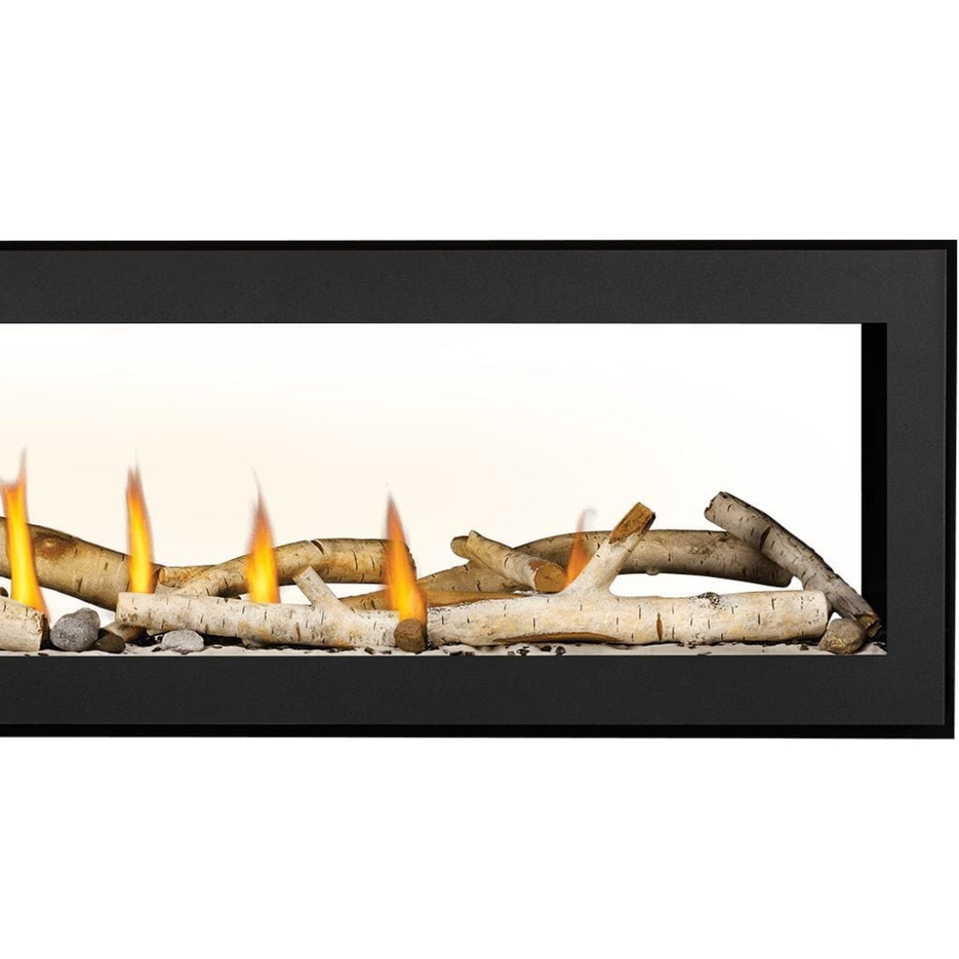 Napoleon Vector 62" See-Through Linear Direct Vent Gas Fireplace