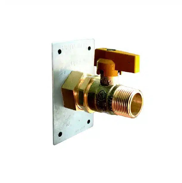 Pro-Flex Special Term Plate With Direct Connect Valve