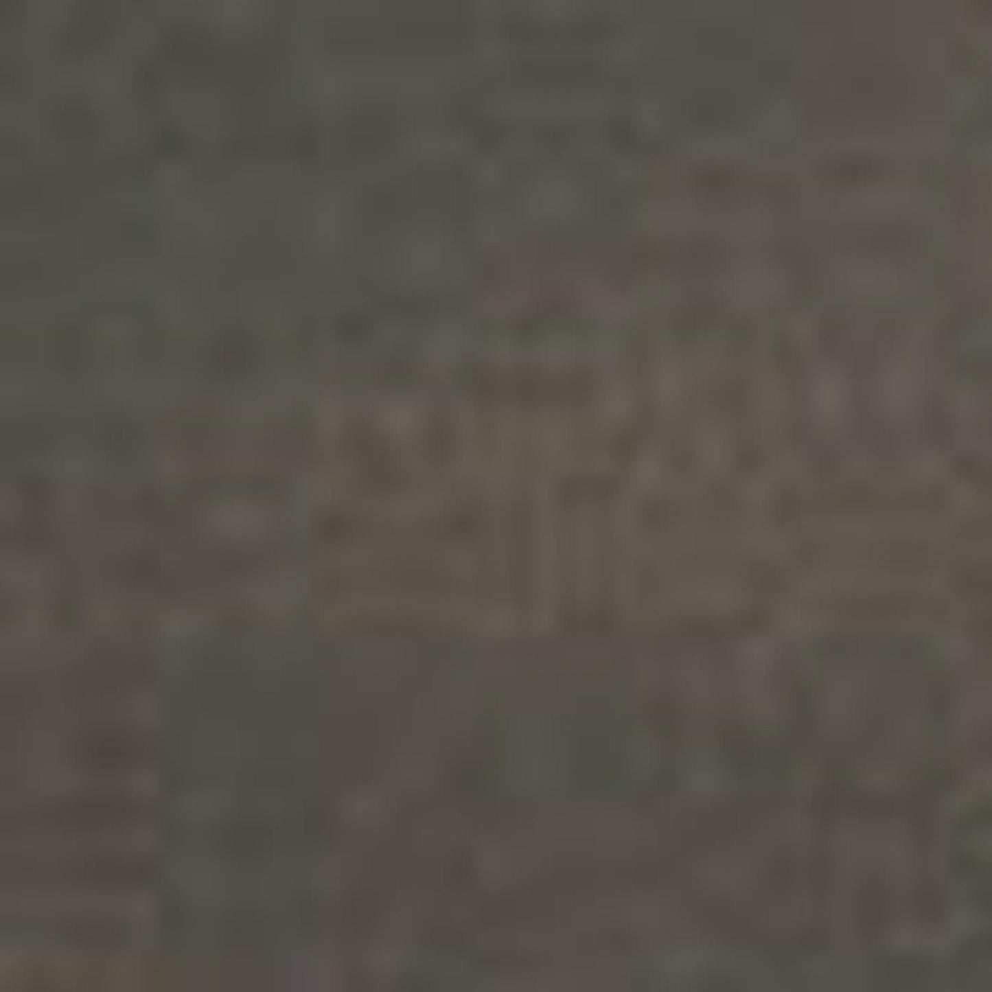 Pilgrim Ballard Embossed 39" Distressed Bronze Single-Panel Screen