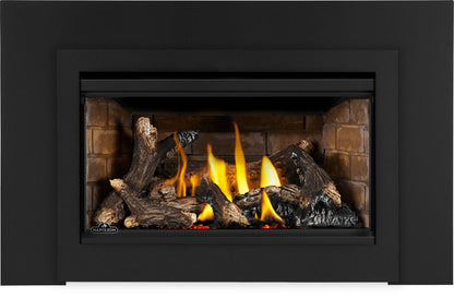 Napoleon Rosedale 2 Direct Vent Natural Gas Fireplace Insert