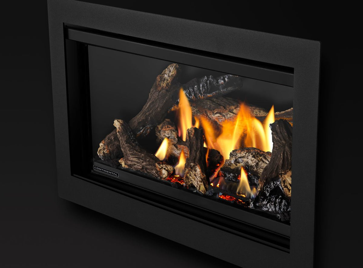 Napoleon Rosedale 2 Direct Vent Natural Gas Fireplace Insert