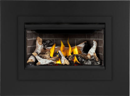 Napoleon Rosedale 2 Direct Vent Natural Gas Fireplace Insert
