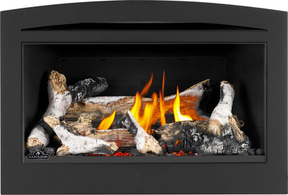 Napoleon Rosedale 2 Direct Vent Natural Gas Fireplace Insert