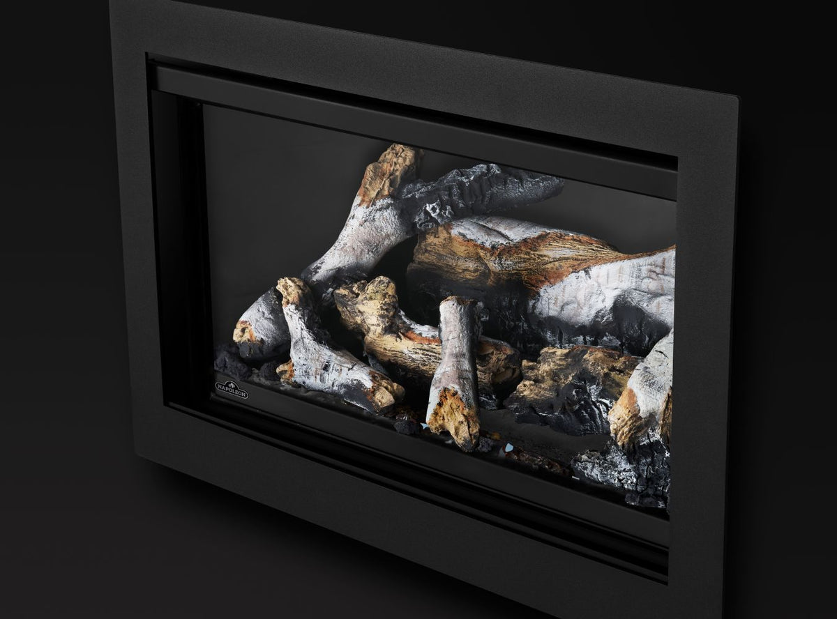 Napoleon Rosedale 2 Direct Vent Natural Gas Fireplace Insert