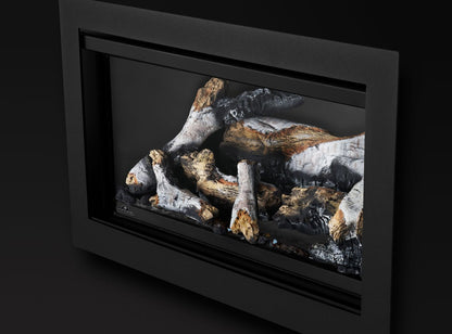 Napoleon Rosedale 2 Direct Vent Natural Gas Fireplace Insert