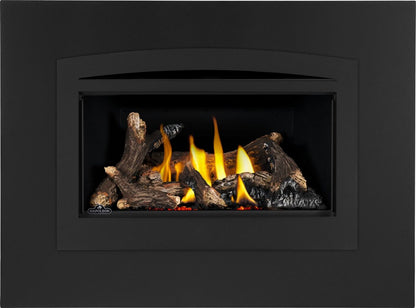 Napoleon Rosedale 2 Direct Vent Natural Gas Fireplace Insert