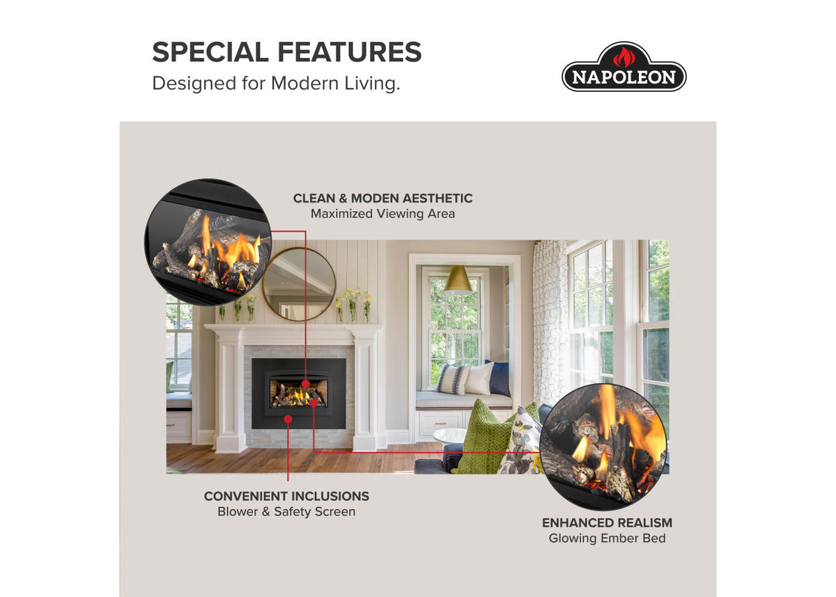 Napoleon Rosedale 2 Direct Vent Natural Gas Fireplace Insert
