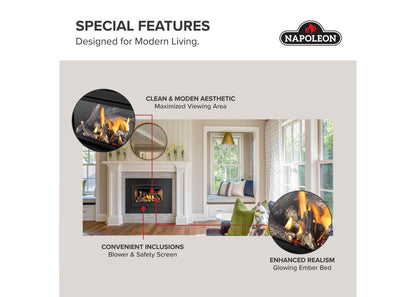 Napoleon Rosedale 2 Direct Vent Natural Gas Fireplace Insert