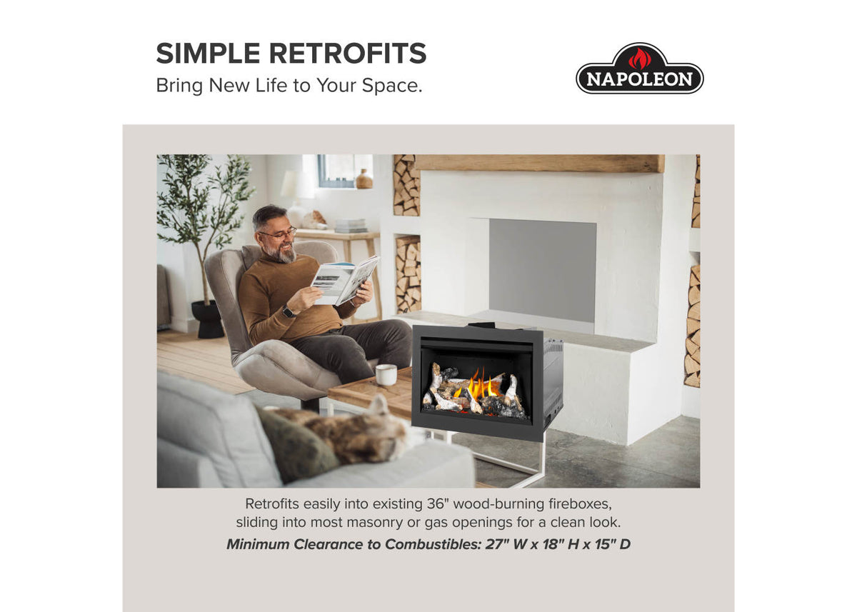 Napoleon Rosedale 2 Direct Vent Natural Gas Fireplace Insert