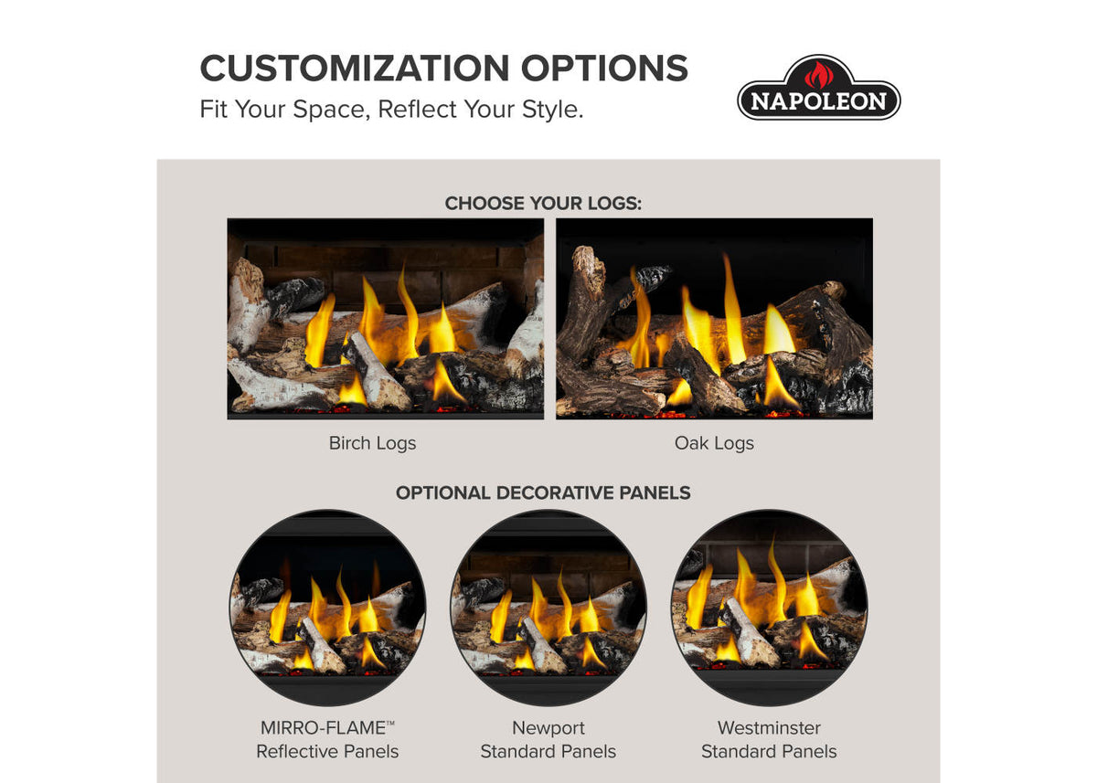 Napoleon Rosedale 2 Direct Vent Natural Gas Fireplace Insert