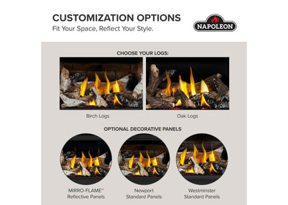 Napoleon Rosedale 2 Direct Vent Natural Gas Fireplace Insert
