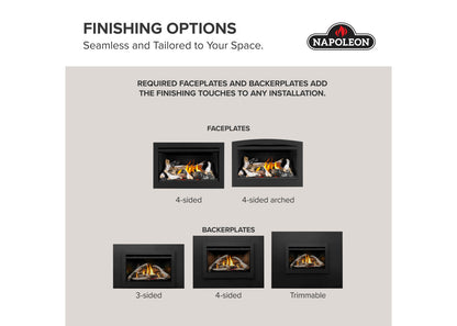 Napoleon Rosedale 2 Direct Vent Natural Gas Fireplace Insert