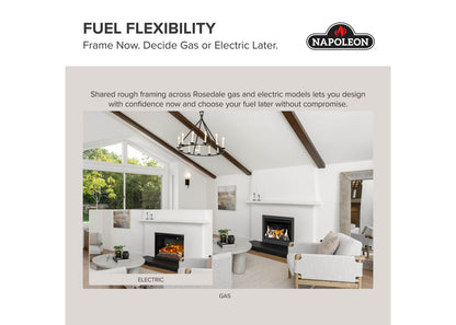 Napoleon Rosedale 2 Direct Vent Natural Gas Fireplace Insert