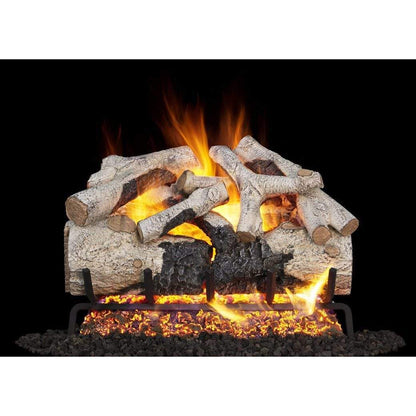 Real Fyre 24" Burnt Aspen Gas Log Set
