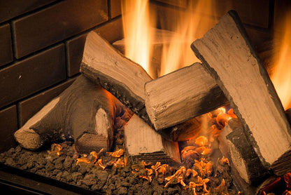 Sierra Flame by Amantii Abbot 30" Direct Vent Propane Gas Fireplace Insert With Ceramic Brick Panles & Log Set