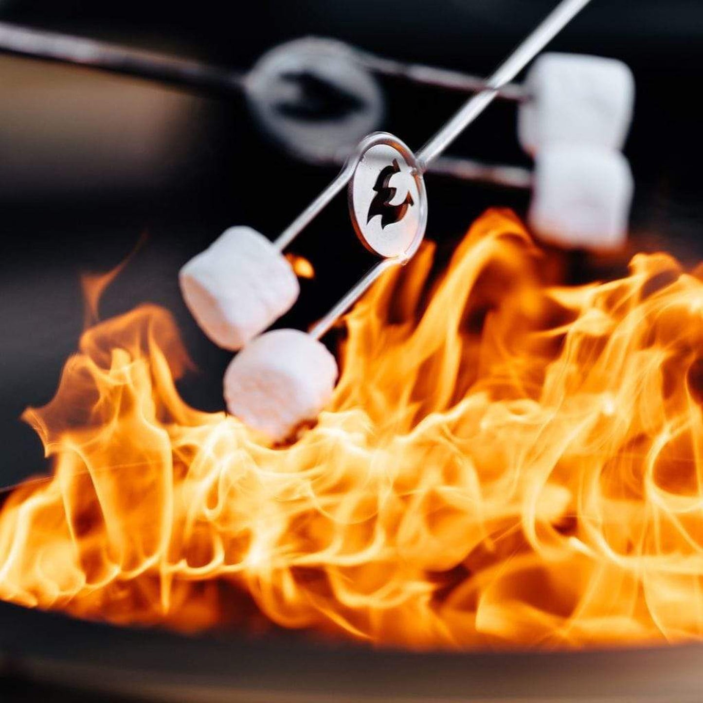 Solo Stove Stainless Steel Roasting Sticks