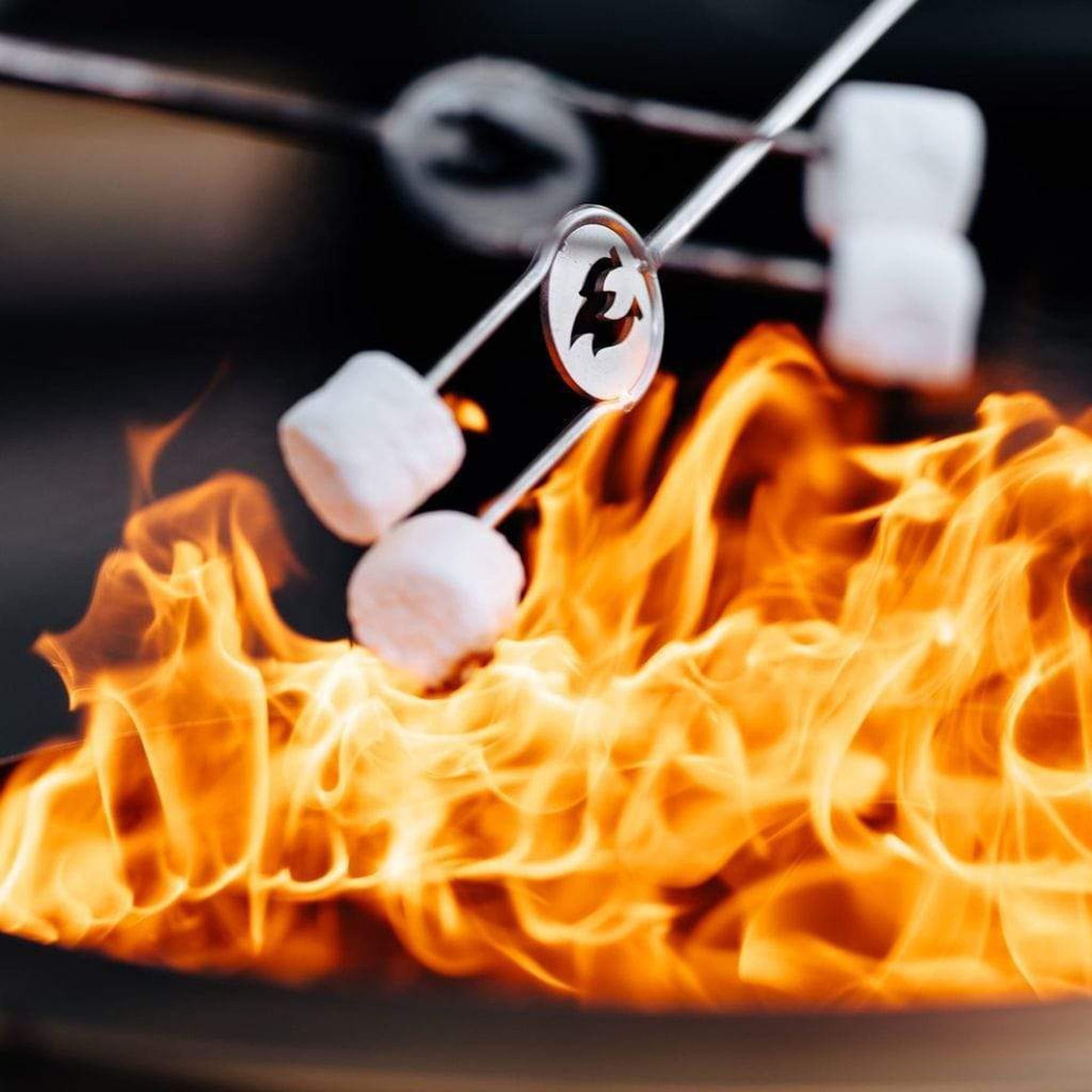 Solo Stove Stainless Steel Roasting Sticks