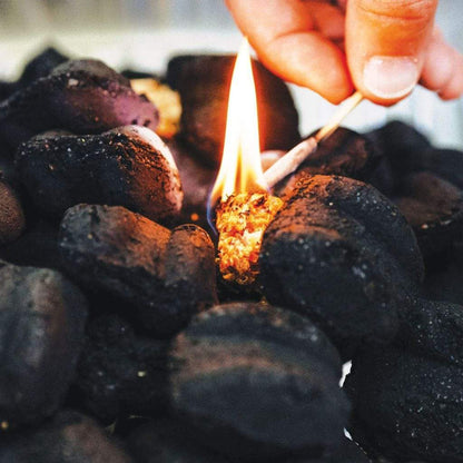 Solo Stove Starters