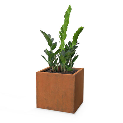 The Outdoor Plus Square Moderna 30" Corten Steel Planter