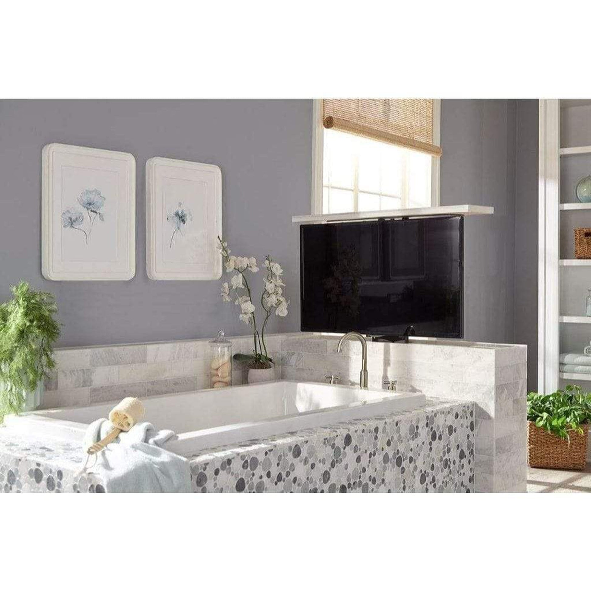 Touchstone Whisper Lift II PRO Advanced Smart Lift Mechanism for 65" Flat Screen TVs (36" travel)