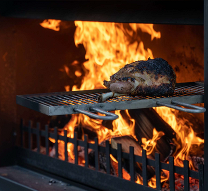 Trendz Outdoors Stainless Steel Swinging Cooking Grill