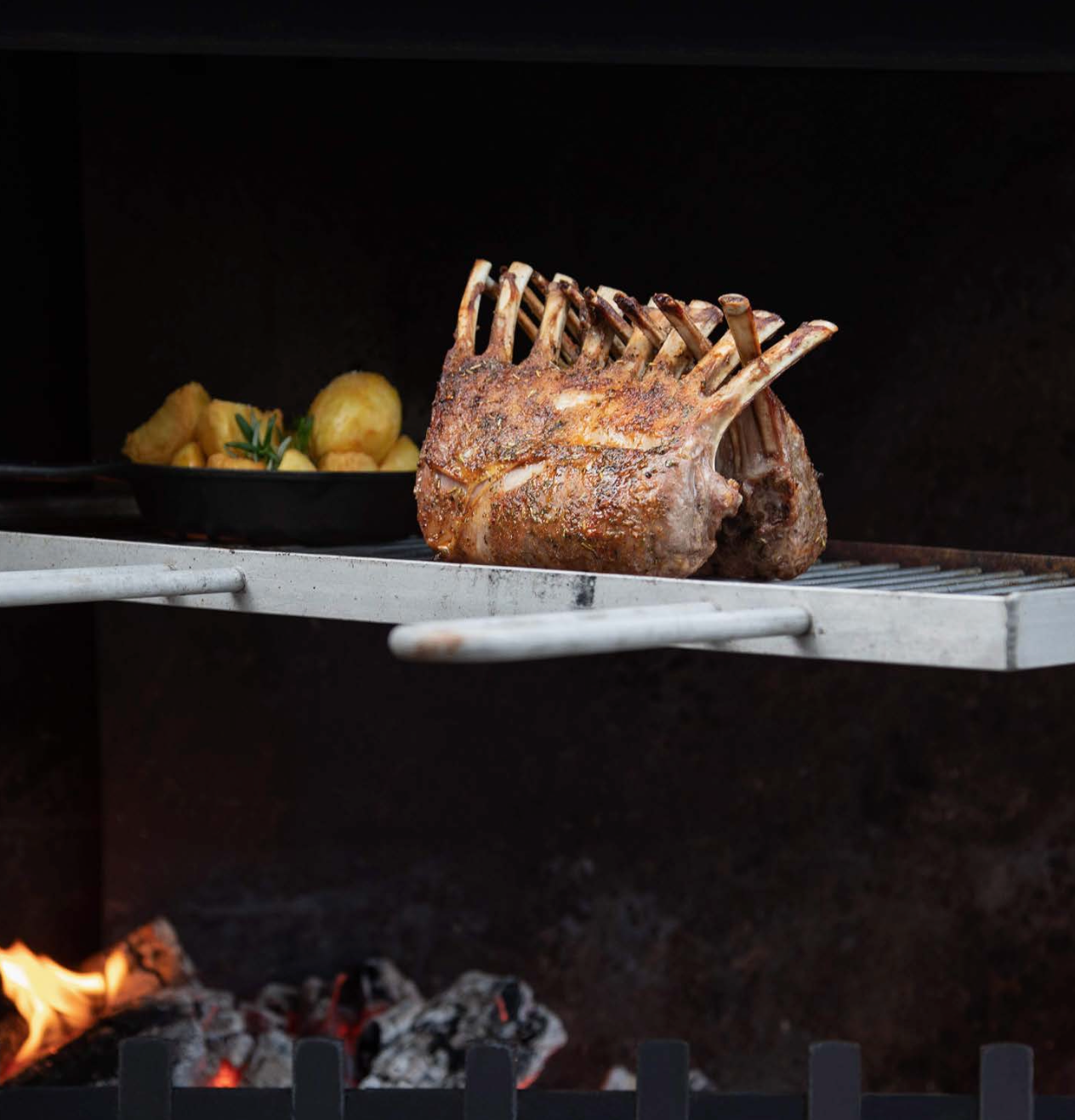 Trendz Outdoors Stainless Steel Swinging Cooking Grill