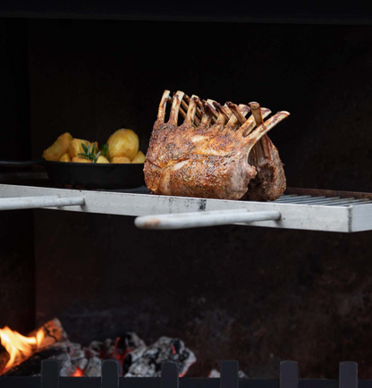 Trendz Outdoors Stainless Steel Swinging Cooking Grill