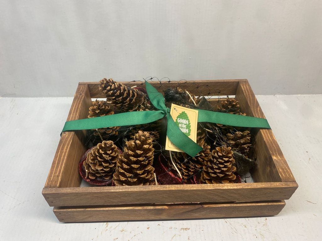 Goods of the Woods 12 Cone Starters New Crate