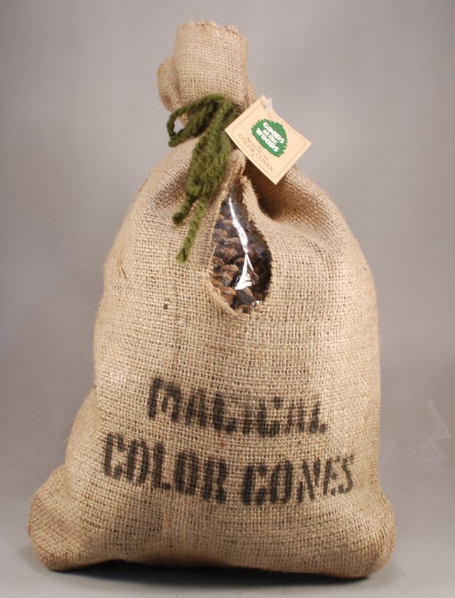 Goods of the Woods 2 lb Magical Color Cones In Burlap Bag