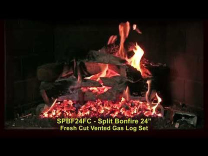 Golden Blount 24" Split Bonfire Fresh-Cut Vented Gas Log Set (Logs Only)
